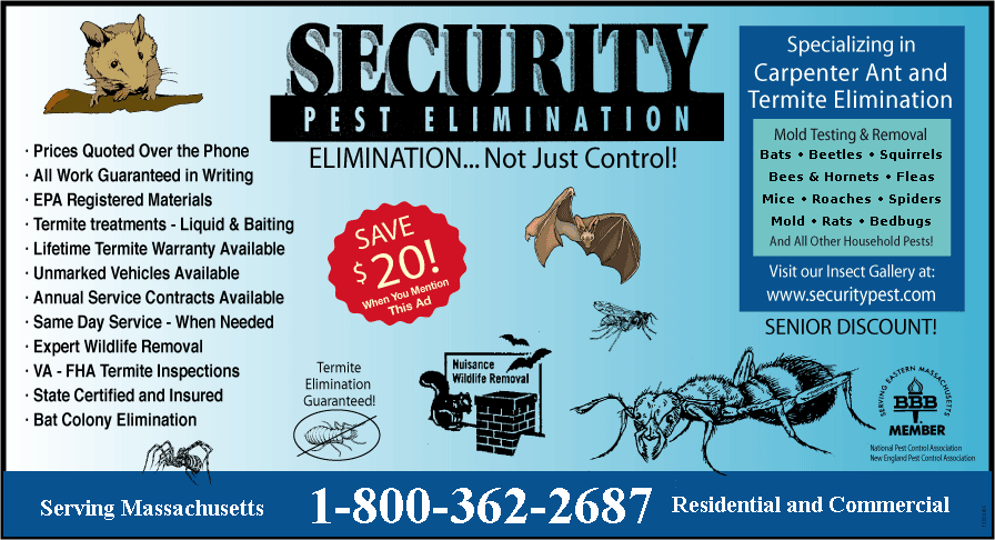 pest control services-exterminators-mass-ant-termite-control, bed